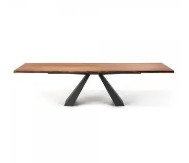Mesa Eliot Wood Cattelan