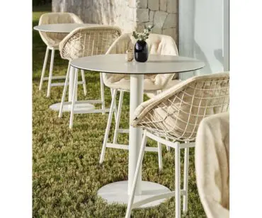 Mesa Lemon Musola