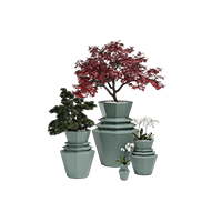 Complementos de exterior