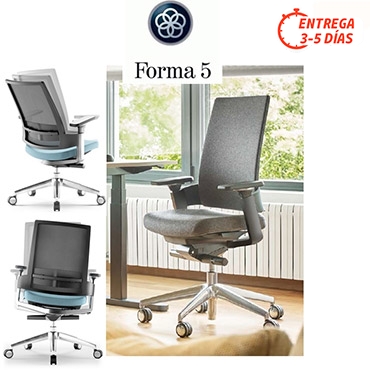 3.60 Home edition Forma 5