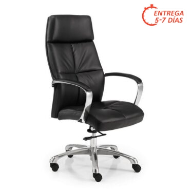Silla Direccional 22-DBLN
