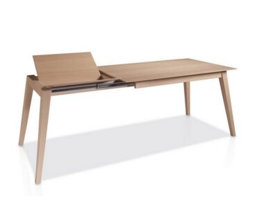 Mesa 61-290 Extensible