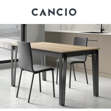 Mesa Osaka Cancio