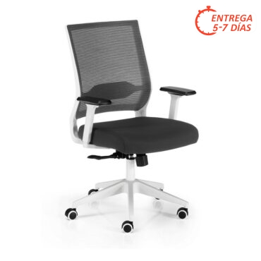 Sillón trabajo 22-Midney blanca