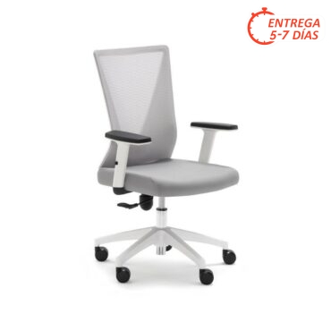 Sillón oficina 22-TRN blanco y gris