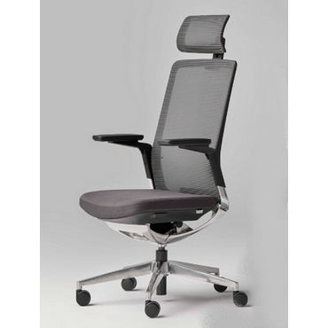 Sillón 13-Advance plus respaldo malla